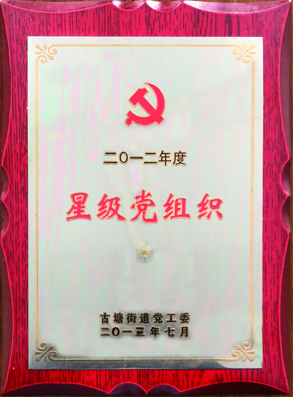 2012年度星级党组织